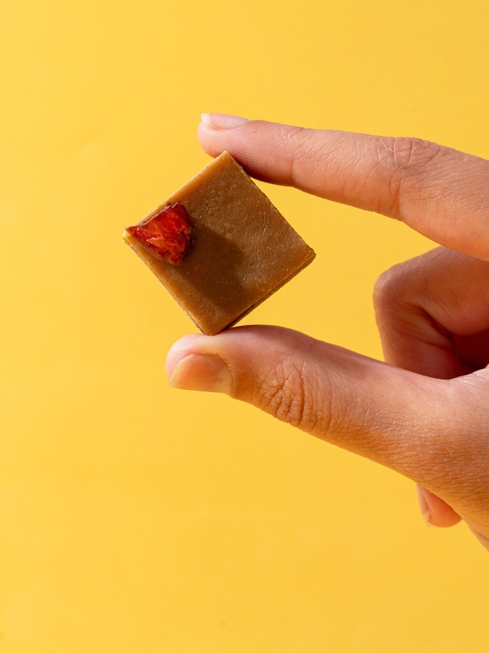 Cranberry Date Bites